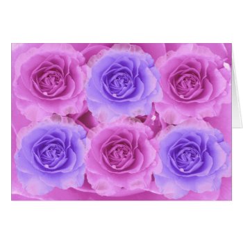 Blue And Purple Roses Card by ggbythebay at Zazzle