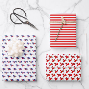 Blue and Red Airplanes Birthday Wrapping Paper Sheets