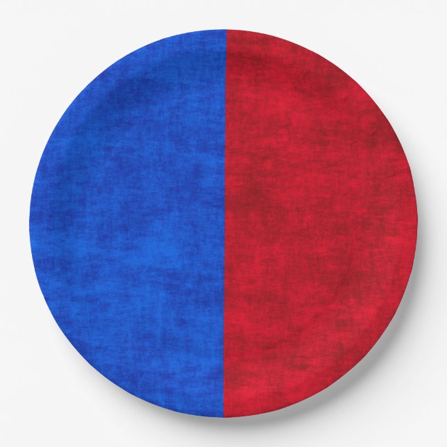 Blue and Red Distressed Two-Tone Pattern Paper Plates (Front)