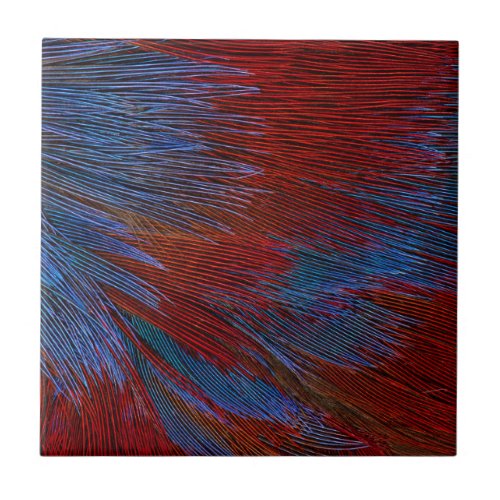 Blue And Red Feather Abstract Ceramic Tile