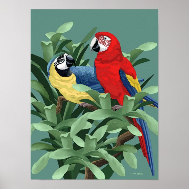 Blue and Red Macaw Posters and Art Prints (Front)