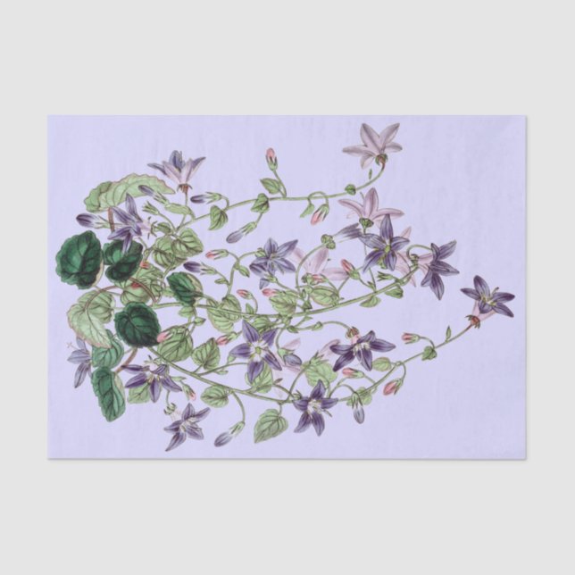 Blue and Violet Trailing Flowers Tissue Paper (Front)