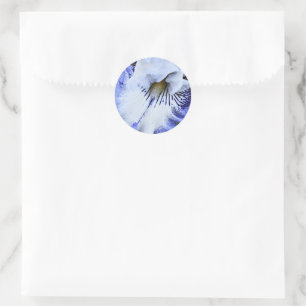 Blue and White Bearded Iris Floral Classic Round Sticker
