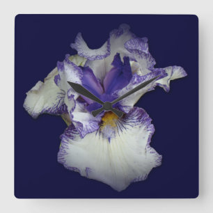 Blue and White Bearded Iris Flower Square Wall Clock