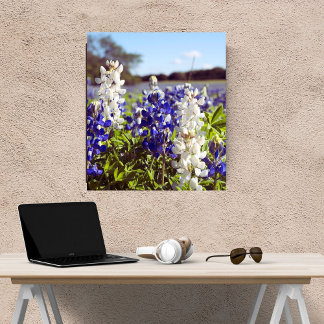 Blue and White Bluebonnets Landscape Satin Finish Photo Print