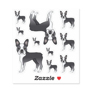 Blue And White Boston Terrier Dog Illustrations Sticker