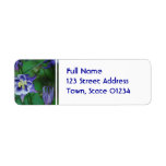 Blue and White Columbine Flower Mailing Label