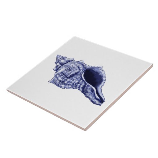 Blue and white conch shell ceramic tile | Zazzle