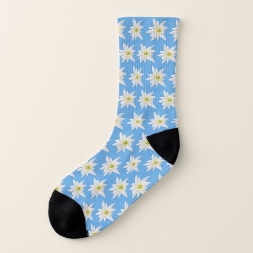 Blue and White Edelweiss Flower Pattern Socks Zazzle