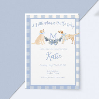 Blue and White Gingham Baby Shower Invitation