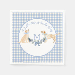 Blue and White Gingham Baby Shower Welcome Sign Napkins