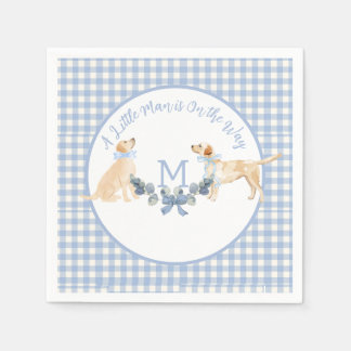 Blue and White Gingham Baby Shower Welcome Sign Napkins