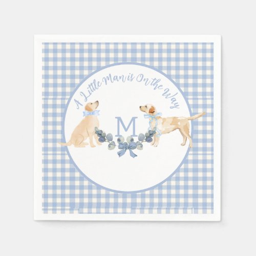 Blue and White Gingham Baby Shower Welcome Sign Napkins