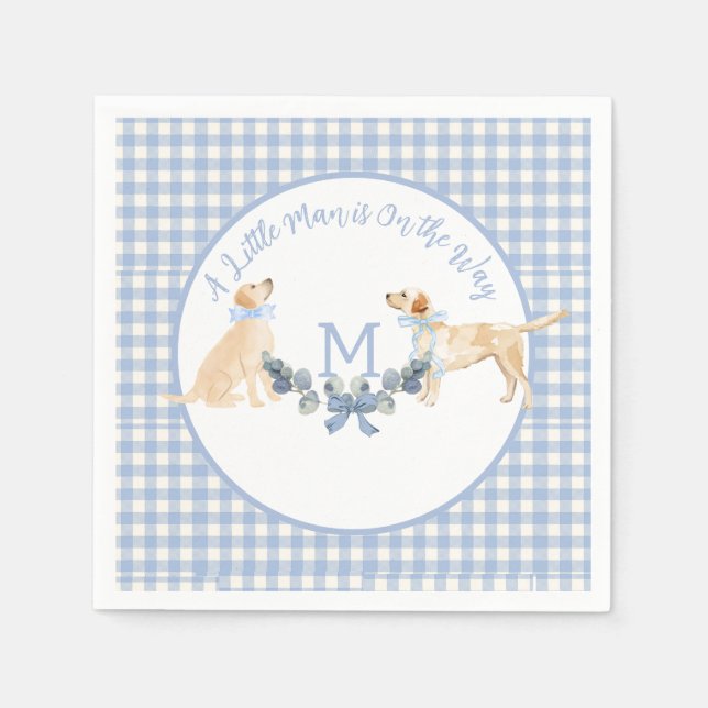 Blue and White Gingham Baby Shower Welcome Sign Napkins (Front)