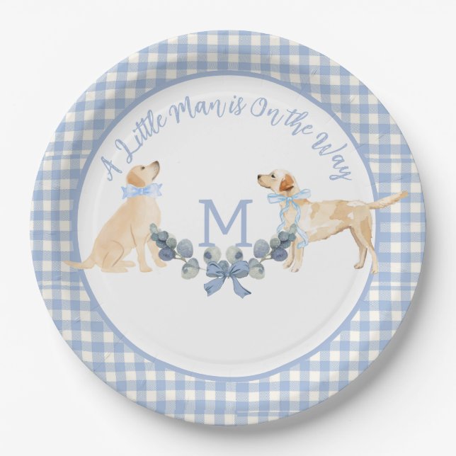 Blue and White Gingham Baby Shower Welcome Sign Paper Plates (Front)