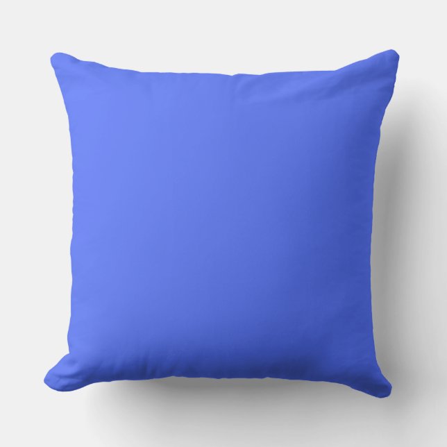 Blue and White Home Decoration Reversible Throw Pillow (Front)