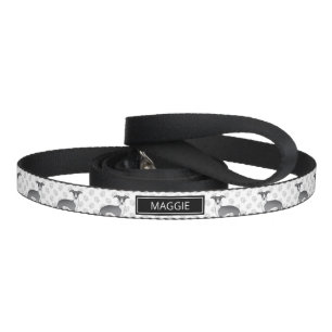 Blue And White Italian Greyhound With Custom Name Pet Leash