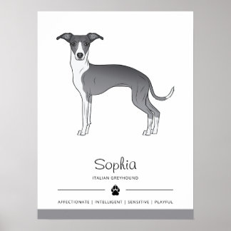 Blue And White Italian Greyhound With Custom Text Poster