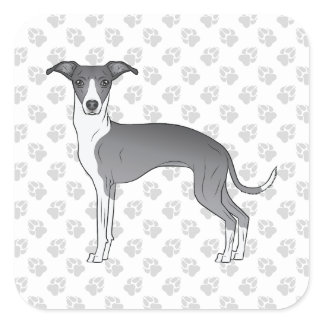 Blue And White Italian Greyhound With Paws Square Sticker