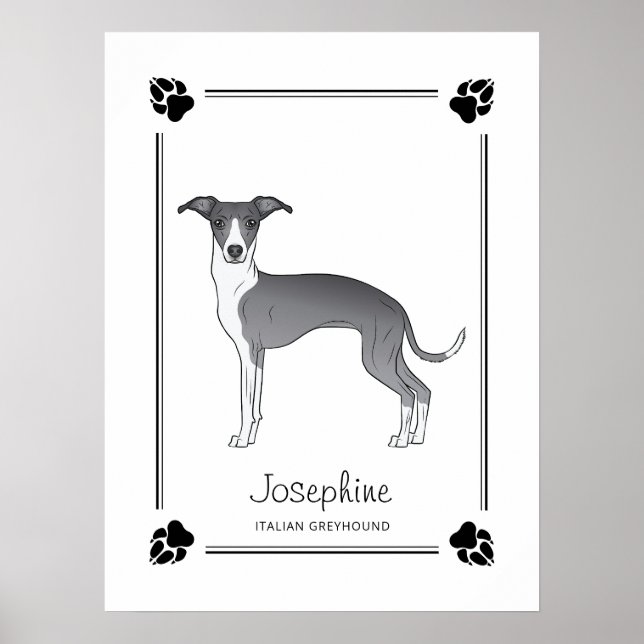 Blue And White Italian Greyhound With Paws & Text Poster (Front)