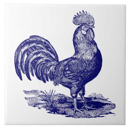 Blue and White Leghorn Rooster Ceramic Tile