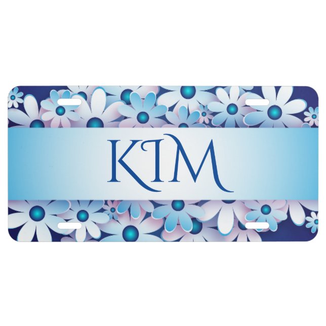 Blue and White License Plate (Front)