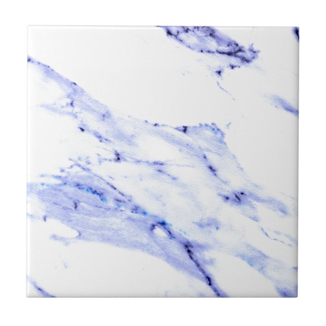 Blue and White Marble Ceramic Tile (Front)