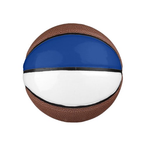 Blue and White Mini Basketball