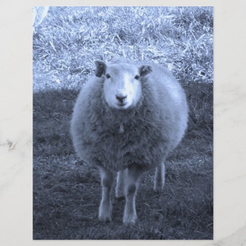 Blue and White  Mother sheep