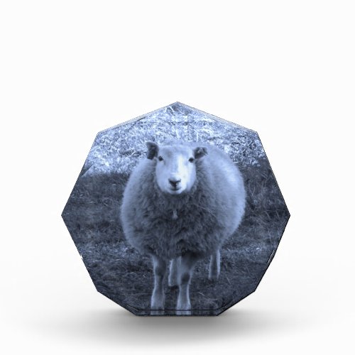 Blue and White  Mother sheep Acrylic Award