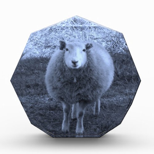 Blue and White  Mother sheep Acrylic Award