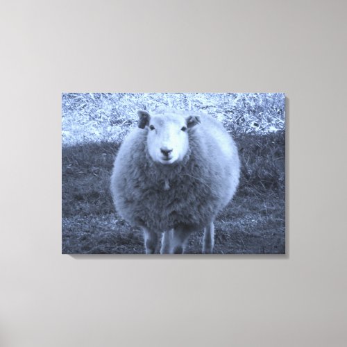 Blue and White  Mother sheep Canvas Print