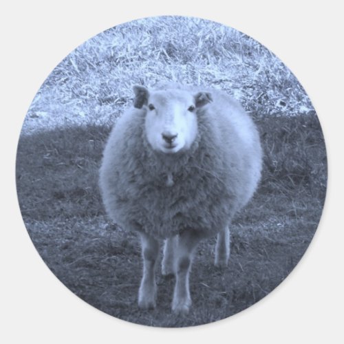 Blue and White  Mother sheep Classic Round Sticker