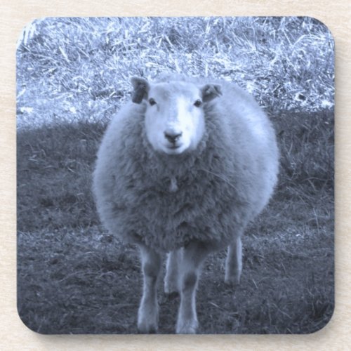 Blue and White  Mother sheep Drink Coaster