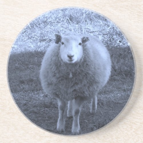 Blue and White  Mother sheep Drink Coaster