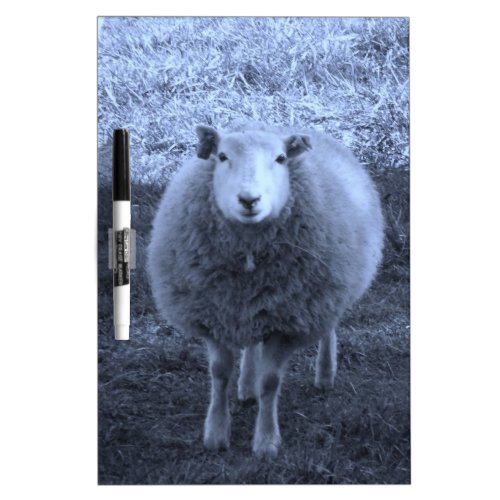 Blue and White  Mother sheep Dry_Erase Board