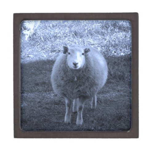 Blue and White  Mother sheep Gift Box