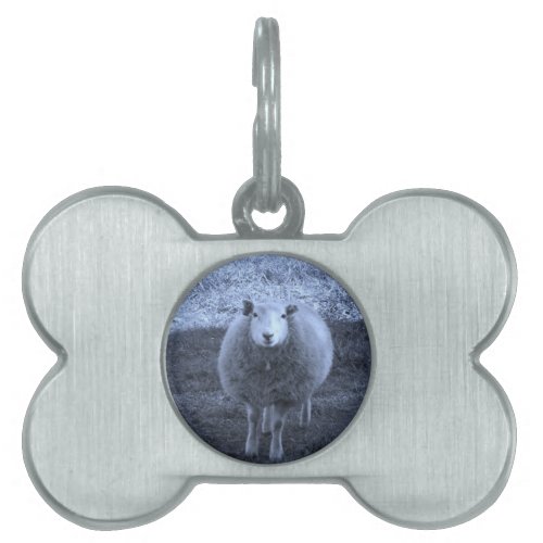 Blue and White  Mother sheep Pet Name Tag