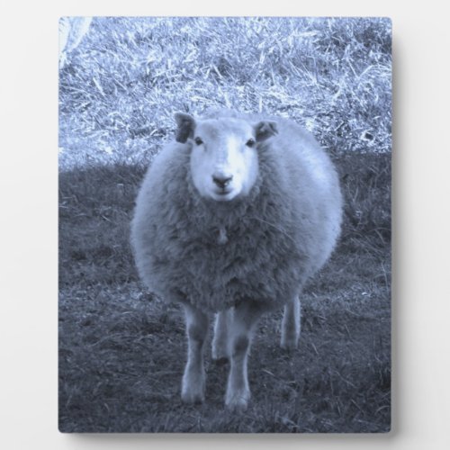 Blue and White  Mother sheep Plaque