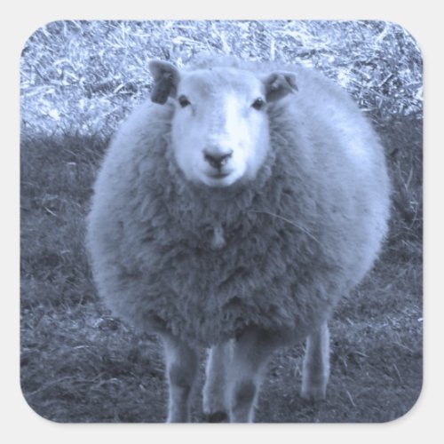 Blue and White  Mother sheep Square Sticker