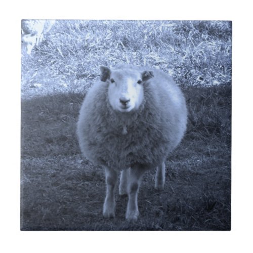 Blue and White  Mother sheep Tile