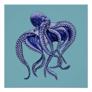 Blue and white Octopus  Poster