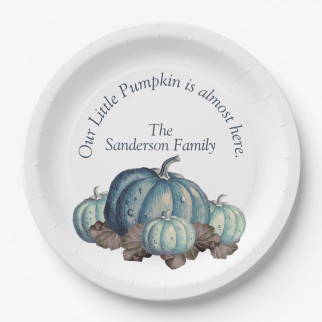 Blue and White Pumpkin Baby Shower Paper Plates (Front)