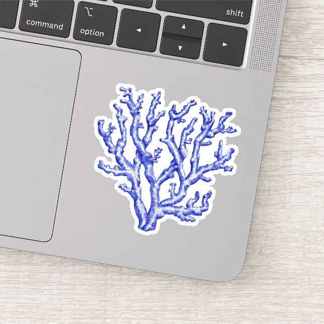 Blue and white sea coral sticker (Detail)