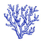 Blue and white sea coral tissue paper