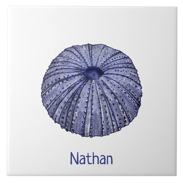 Blue and white sea urchin with name ceramic tile (Front)