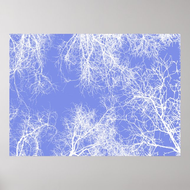 Blue and white silhouetted trees poster (Front)