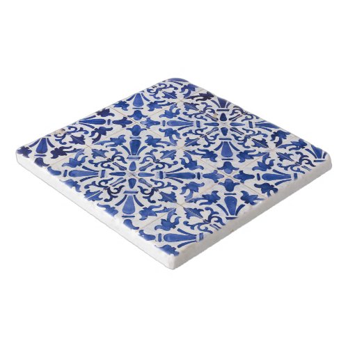 Blue and White Spanish Tile Trivet