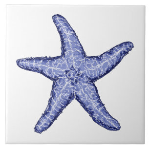Starfish Tile Backsplash Agata & Hector Sea Life Art Ceramic Mural OB-AGA41 