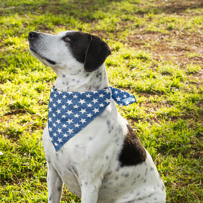 Blue and White Stars Bandana